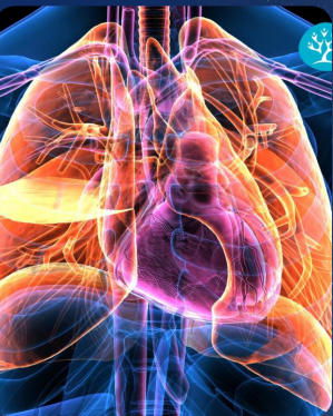 RIABILITAZIONE CARDIORESPIRATORIA ED ONCOLOGICA IN AMBIENTE TERMALE.